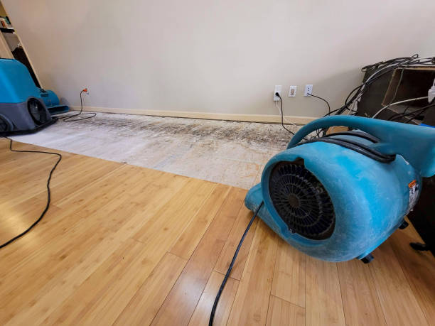 Professional Water Damage Repair technician working in Blanchard, LA